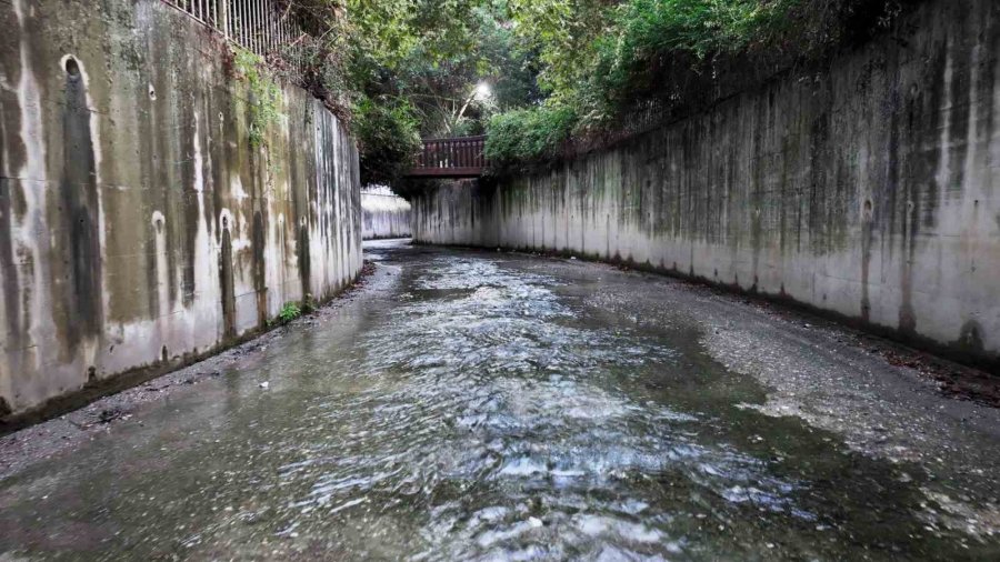 Alanya Belediyesi’nden Dere Temizleme Çalışması