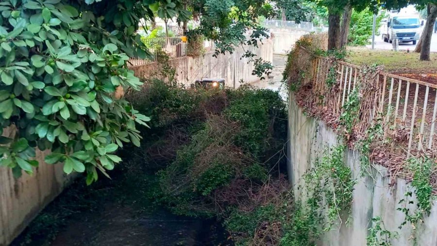 Alanya Belediyesi’nden Dere Temizleme Çalışması