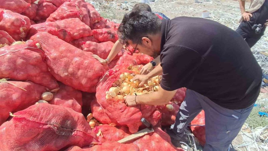 Karaman’da Tonlarca Soğan, Boş Araziye Atılmış Halde Bulundu