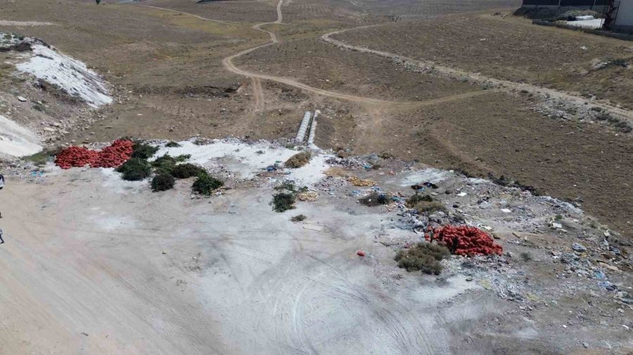 Karaman’da Tonlarca Soğan, Boş Araziye Atılmış Halde Bulundu
