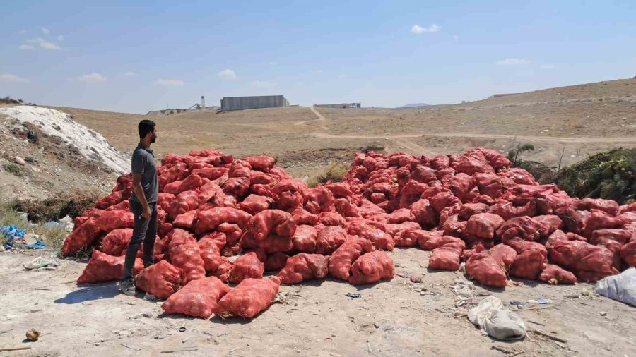 Karaman’da Tonlarca Soğan, Boş Araziye Atılmış Halde Bulundu