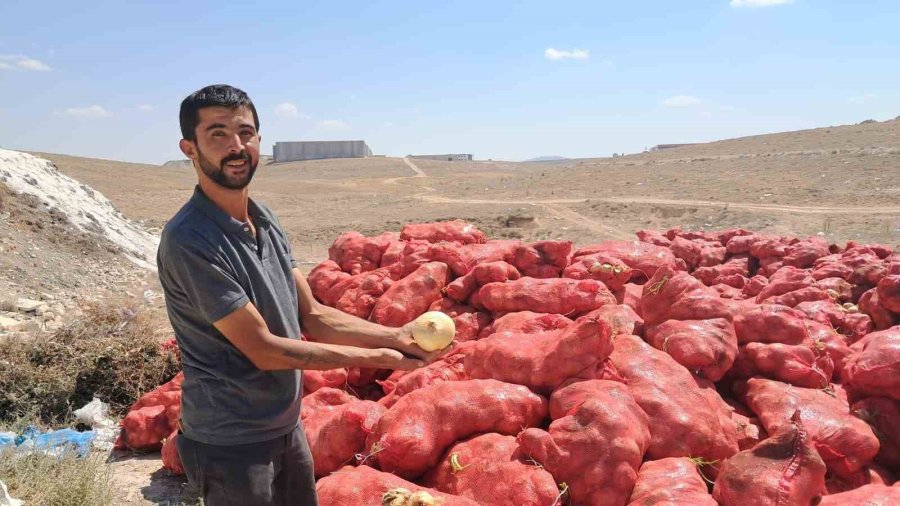 Karaman’da Tonlarca Soğan, Boş Araziye Atılmış Halde Bulundu