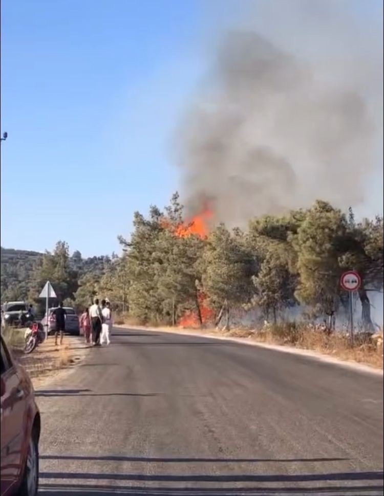 Mersin Erdemli’de Orman Yangını Büyümeden Söndürüldü