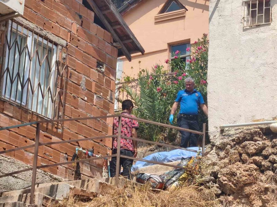 Gürültüyü Devrilen Kedi Köpek Maması Zannettiler, Gerçek Sabah Ortaya Çıktı