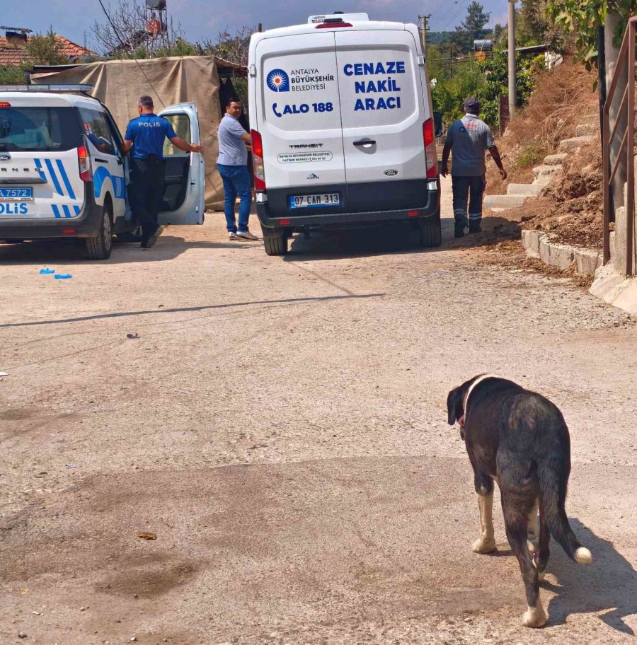 Gürültüyü Devrilen Kedi Köpek Maması Zannettiler, Gerçek Sabah Ortaya Çıktı