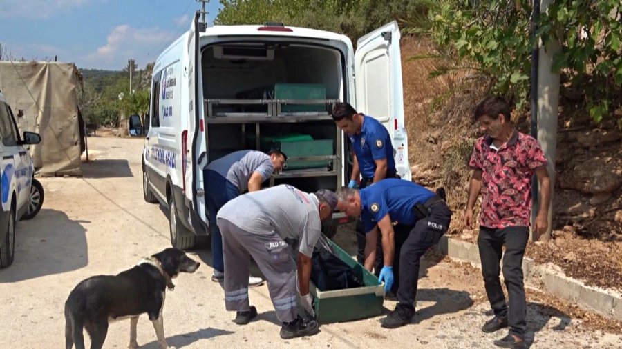 Gürültüyü Devrilen Kedi Köpek Maması Zannettiler, Gerçek Sabah Ortaya Çıktı