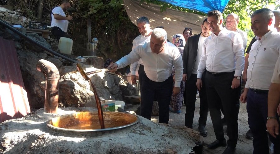 Alanya’da Keçiboynuzu Hasat Şenliği Ve Coğrafi Tescil Belge Töreni