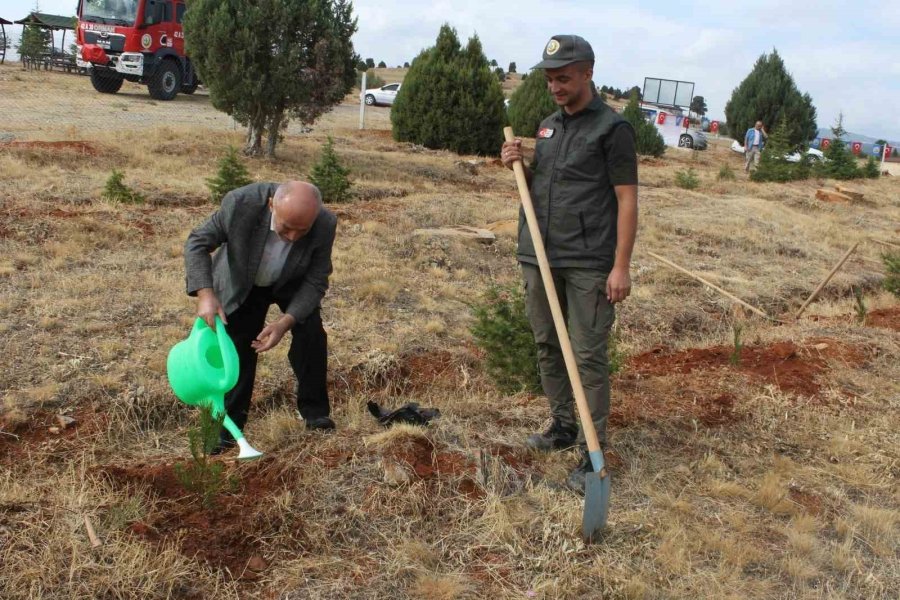 Beyşehir’de İlköğretim Haftası’nda Fidanlar Toprakla Buluşturuldu