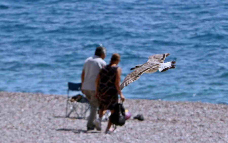 Okullar Açıldı, Dünyaca Ünlü Sahildeki Yoğunluk Yarı Yarıya Düştü