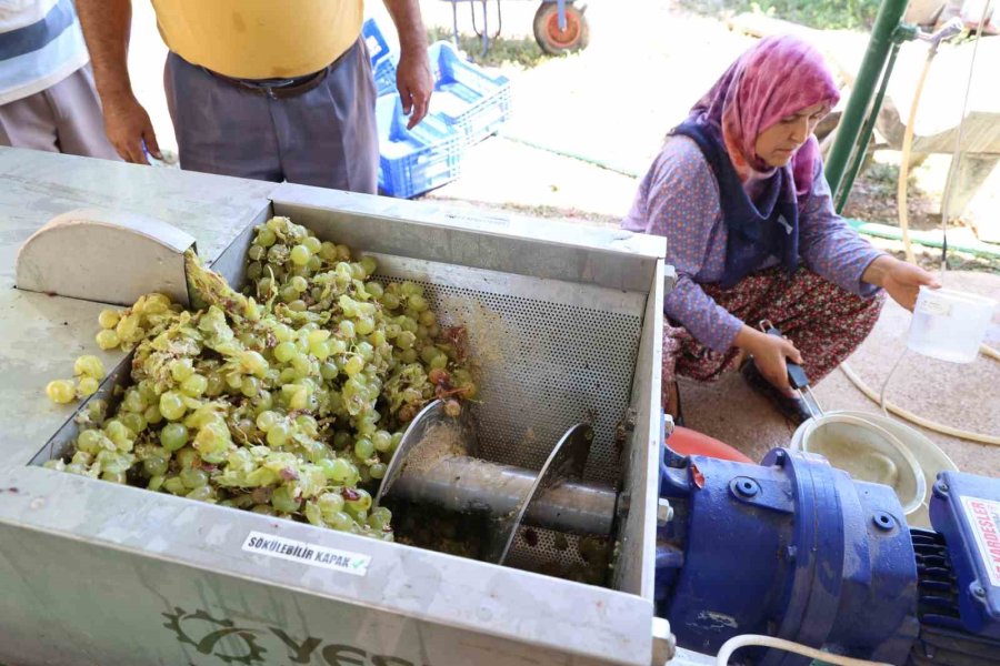 Çizmeler Rafa Kalktı Pekmez Üretimi Kolaylaştı