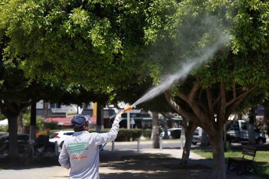 Mersin’de Vektörle Mücadelede Dijital Dönem Başladı