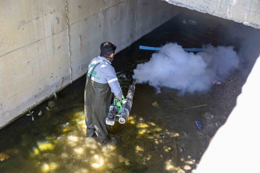 Mersin’de Vektörle Mücadelede Dijital Dönem Başladı