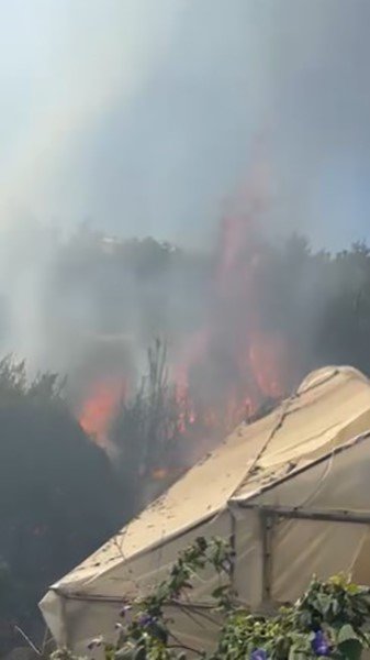 Alanya’da Çalılık Alanda Çıkan Yangında 2 Sera Ve 2 Dönüm Arazi Zarar Gördü
