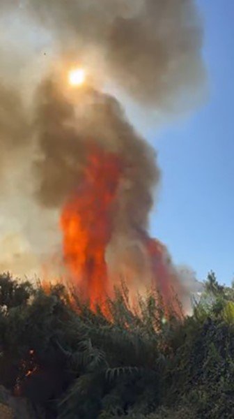 Alanya’da Çalılık Alanda Çıkan Yangında 2 Sera Ve 2 Dönüm Arazi Zarar Gördü