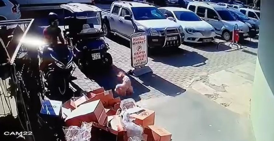 Köpeğiyle Kavga Eden Kediyi Tekmeyle Metrelerce Havaya Fırlattı