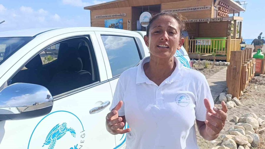 Antalya’da ’deniz Kaplumbağası Ambulansı’ Göreve Başladı