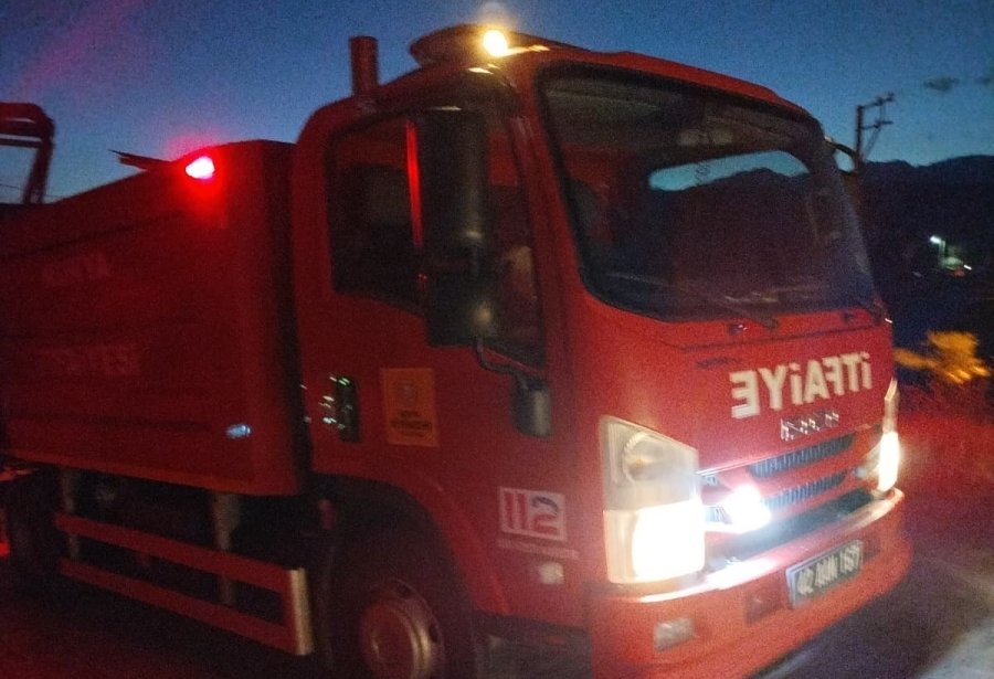 Çıktığı Ağaçta Mahsur Kalan Kediyi İtfaiye Kurtardı