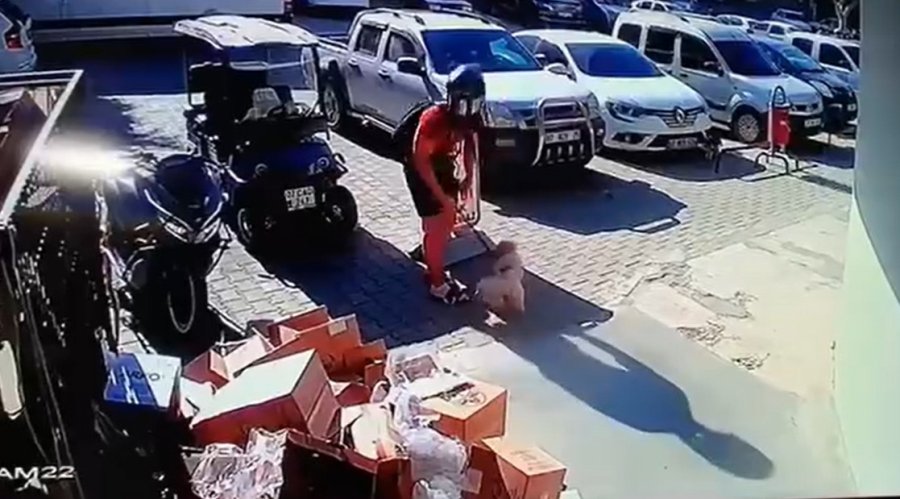 Köpeğiyle Kavga Eden Kediyi Tekmeyle Metrelerce Havaya Fırlattı