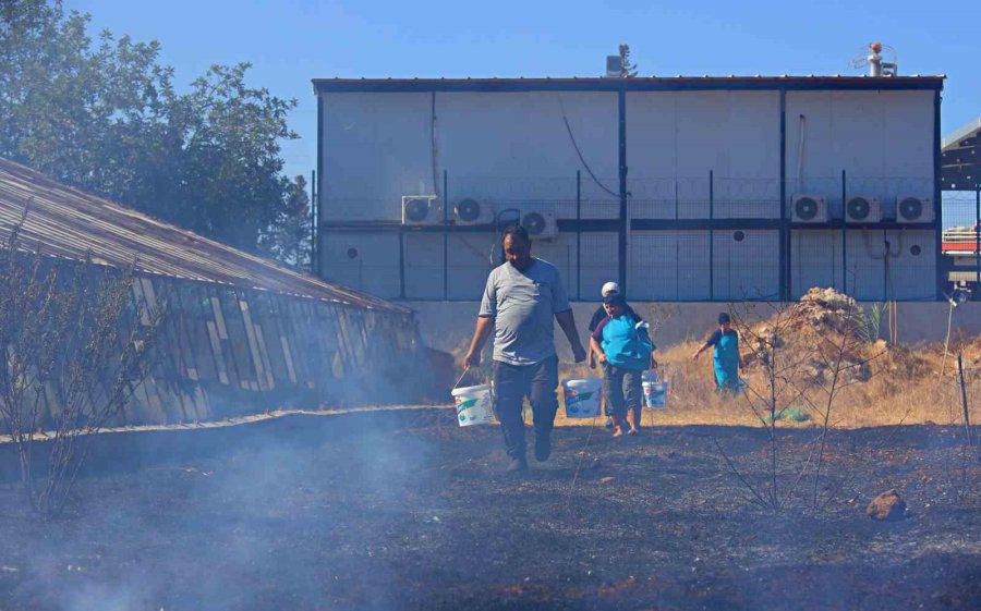 Hurda Araçların Alev Alev Yandığı Yangına Kova Ve Hortumlarla Müdahale Ettiler