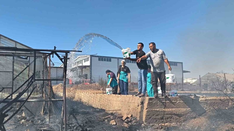 Hurda Araçların Alev Alev Yandığı Yangına Kova Ve Hortumlarla Müdahale Ettiler