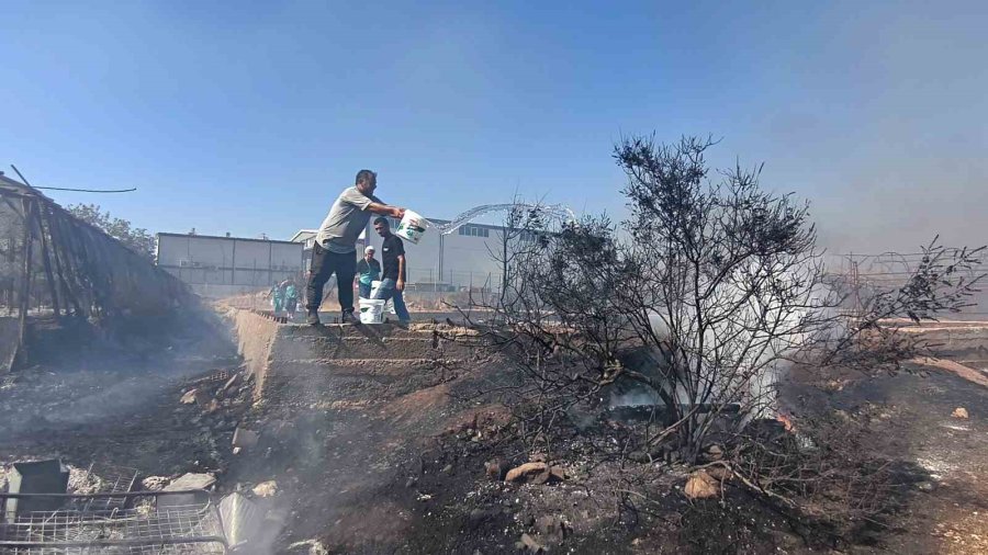 Hurda Araçların Alev Alev Yandığı Yangına Kova Ve Hortumlarla Müdahale Ettiler