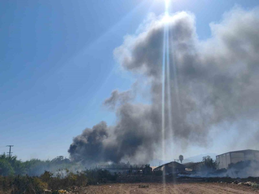 Hurda Araçların Alev Alev Yandığı Yangına Kova Ve Hortumlarla Müdahale Ettiler