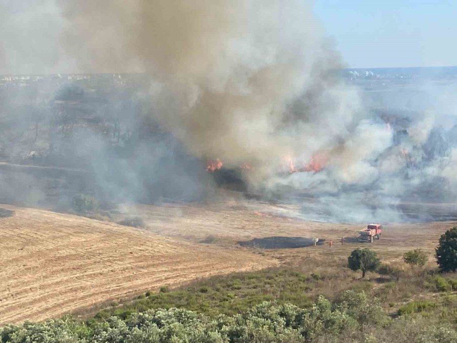 Antalya’da Makilik Alanda Çıkan Yangın Zeytin Ağaçlarına Zarar Verdi