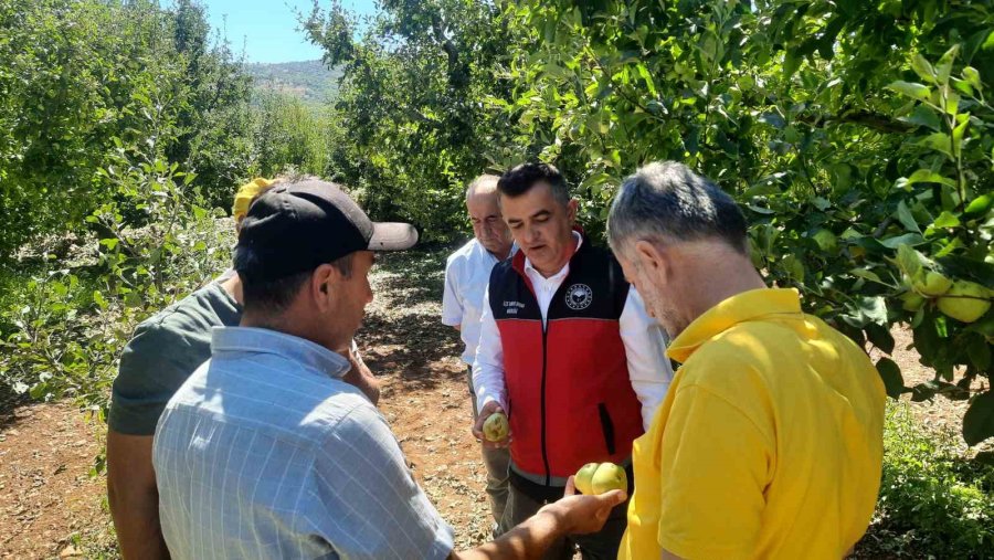 Konya’da Dolu Etkili Oldu, Bahçeler Büyük Zarar Gördü