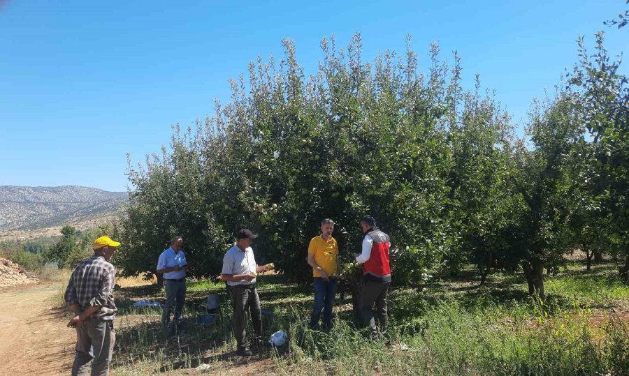 Konya’da Dolu Etkili Oldu, Bahçeler Büyük Zarar Gördü