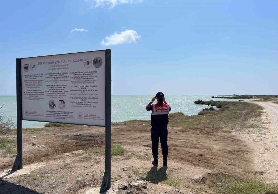 Mersin Jandarmasından Kaçak Avcılık Ve Yangınlara Karşı Sıkı Denetim