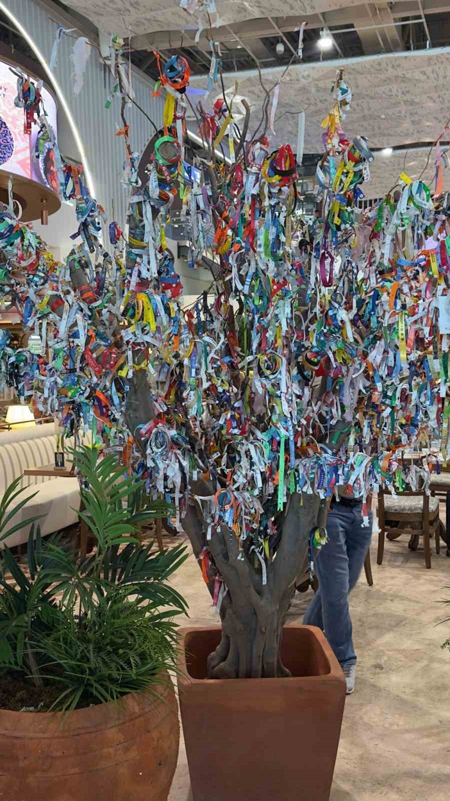 Havalimanındaki Dilek Ağacı Her Şey Dahil Ağacına Döndü