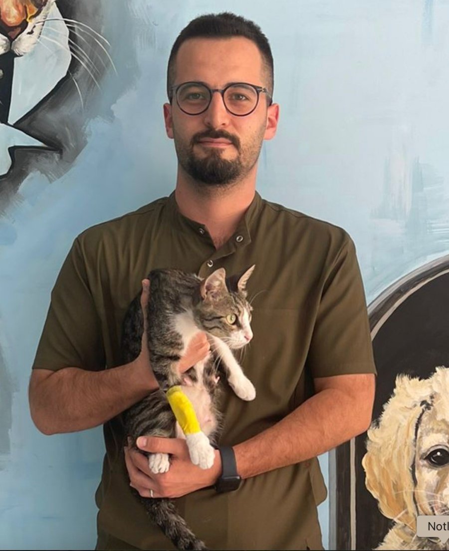 Alanya’da Hayvana Eziyet Cezasız Kalmadı