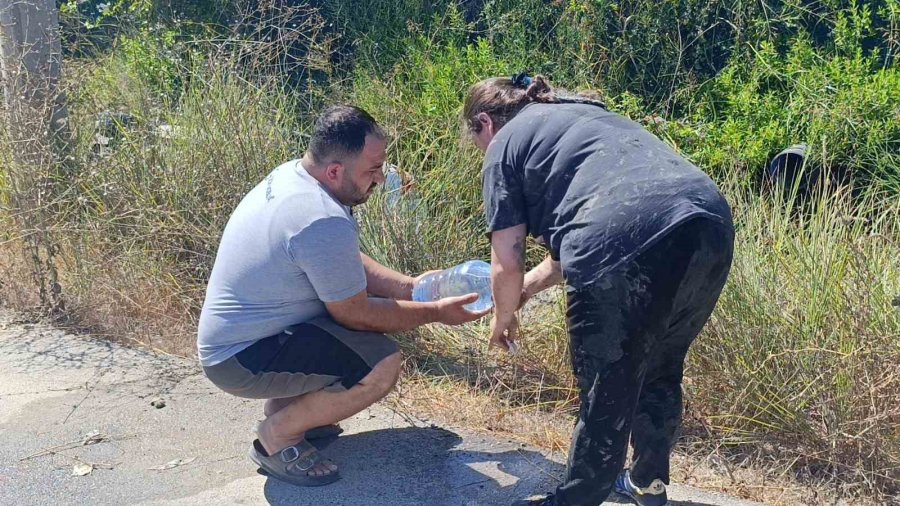 Sulama Kanalına Uçan Otomobilin Sürücüsü Kazayı Yara Almadan Atlattı