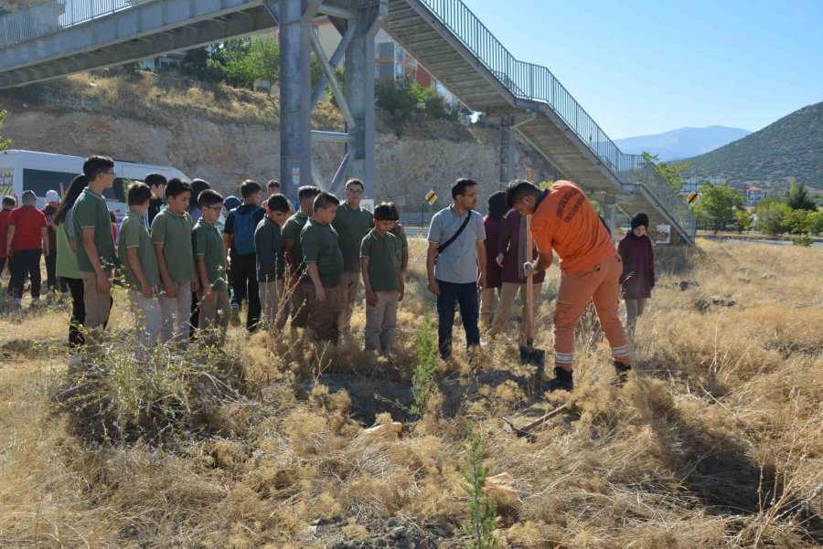 Korkuteli’de Öğrenciler ’yeşil Vatan’ İçin Fidan Dikti