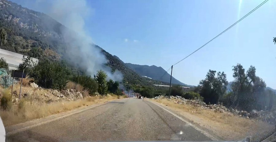 Yol Kenarındaki Yangını Gören Tatilci Aile Alevlere Yangın Tüpüyle Müdahale Etti