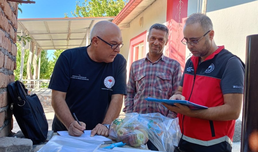 Beyşehir’de Hasat Öncesi Pestisit Denetimleri
