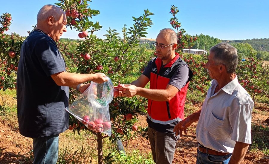 Beyşehir’de Hasat Öncesi Pestisit Denetimleri
