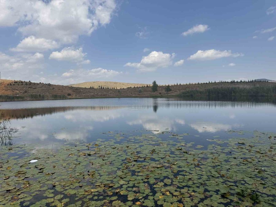 Torosların Zirvesindeki Güzellikler Dipsizgöl Ve Eğrigöl