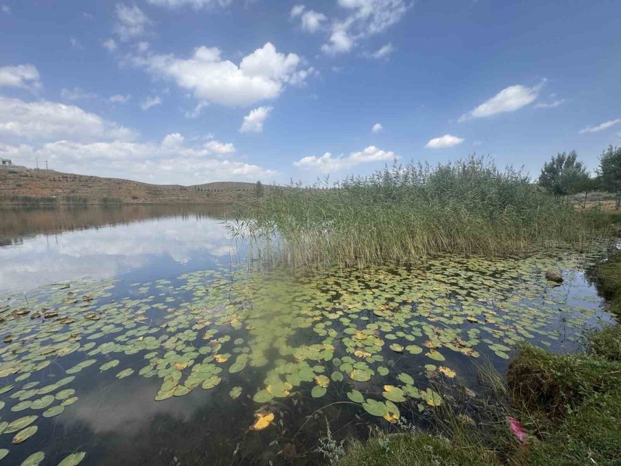Torosların Zirvesindeki Güzellikler Dipsizgöl Ve Eğrigöl