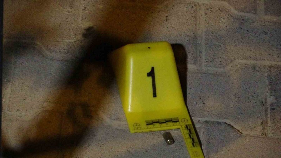 Komşuların Apartman Bahçesinde Portakal Koparma Tartışması Kanlı Bitti