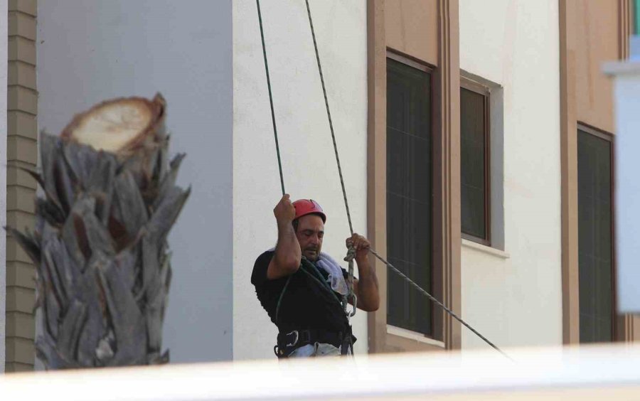 Ağaç Budanması İçin Kiralanan Vinç Yan Yattı