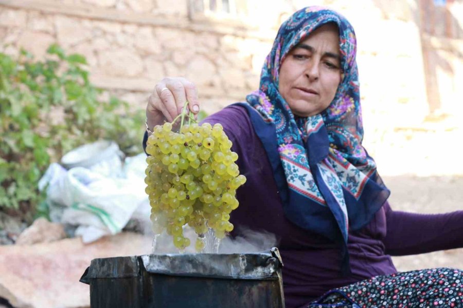 Konya’da Torosların Yeşil Altını "gök Üzüm" Hasadı Başladı