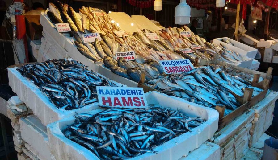 Akdeniz’de Av Yasağı Bitti, Tezgahlarda Bolluk Başladı