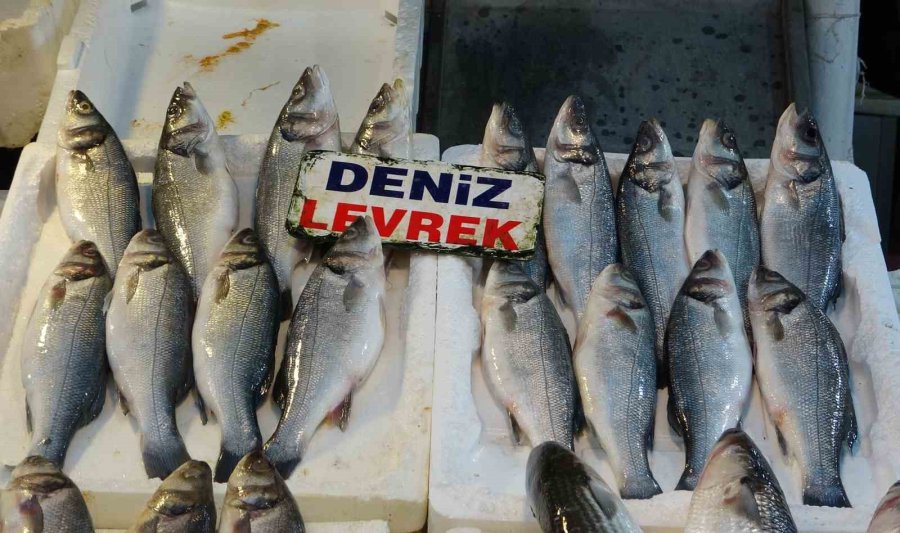 Akdeniz’de Av Yasağı Bitti, Tezgahlarda Bolluk Başladı