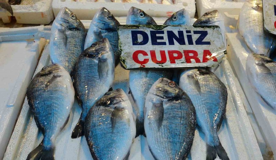 Akdeniz’de Av Yasağı Bitti, Tezgahlarda Bolluk Başladı