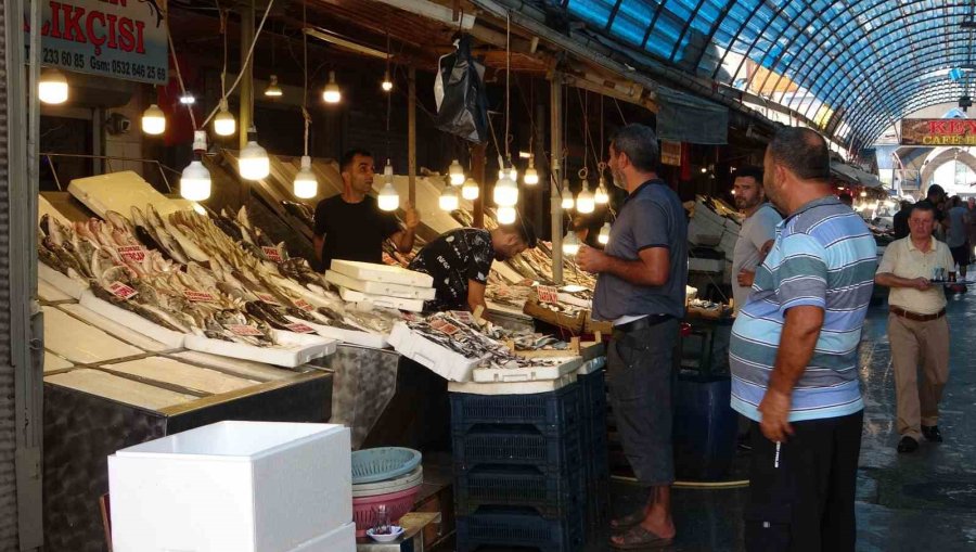 Akdeniz’de Av Yasağı Bitti, Tezgahlarda Bolluk Başladı