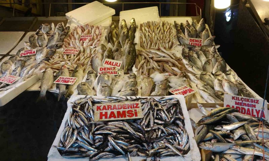 Akdeniz’de Av Yasağı Bitti, Tezgahlarda Bolluk Başladı