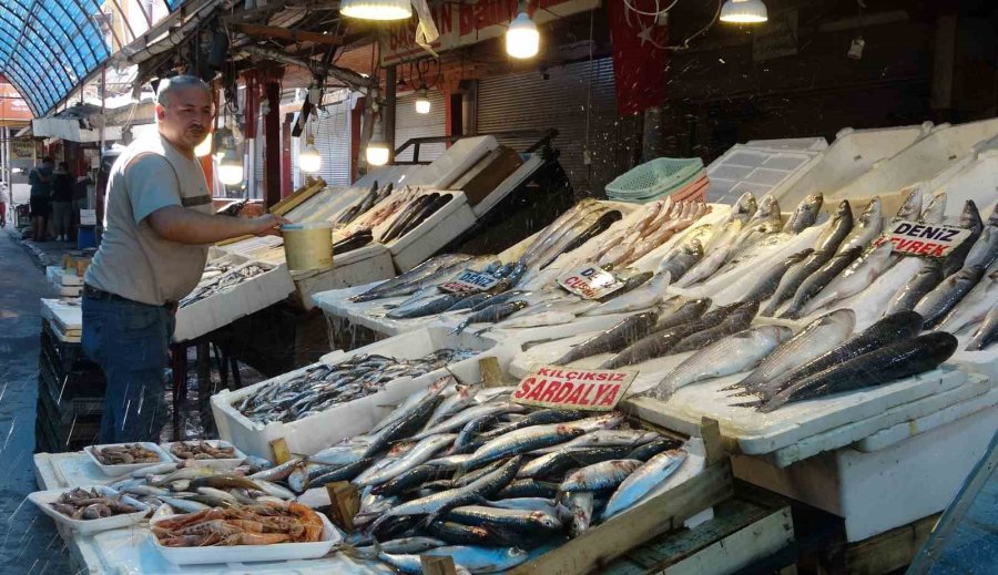 Akdeniz’de Av Yasağı Bitti, Tezgahlarda Bolluk Başladı