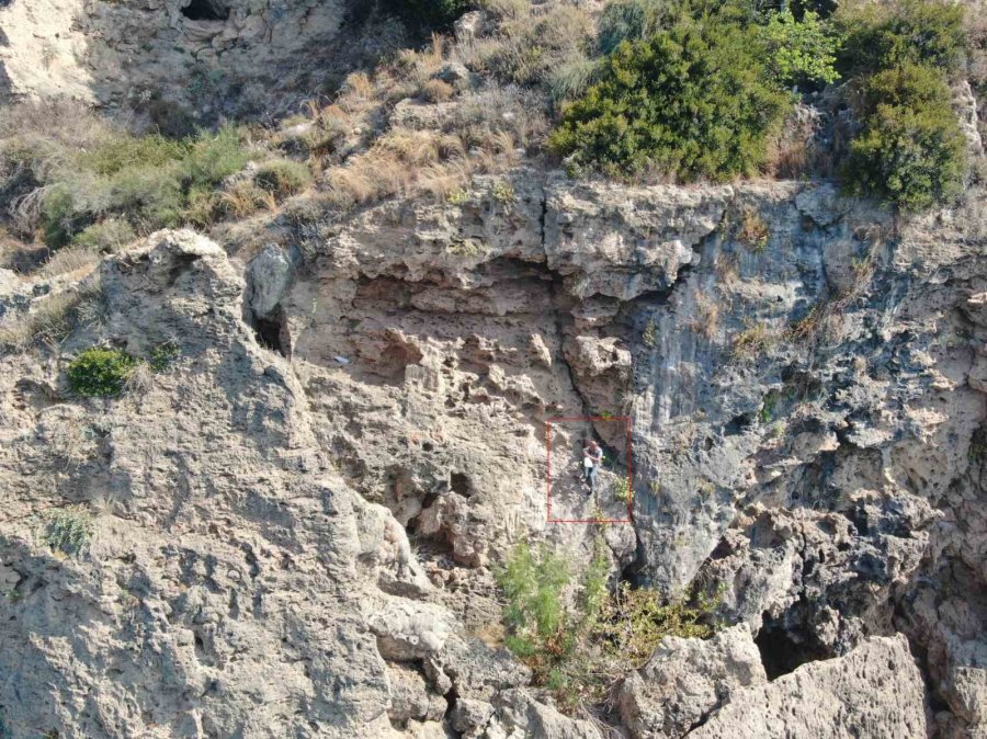 Denize Sıfır Sarp Kayalıklarda Ot Topluyor, Gören İtfaiyeyi Arıyor