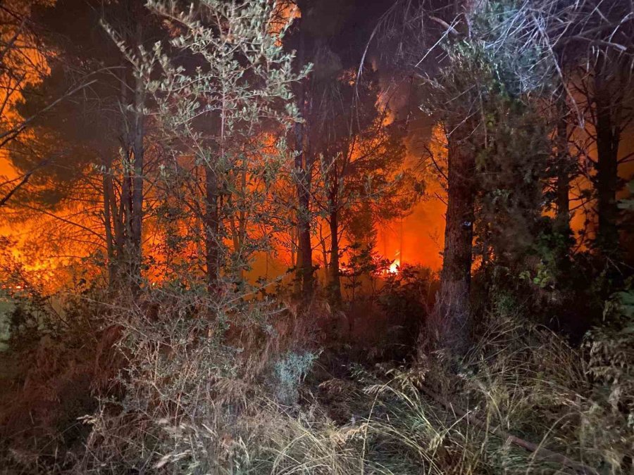 Antalya’da Ormanlık Alanda Yangın